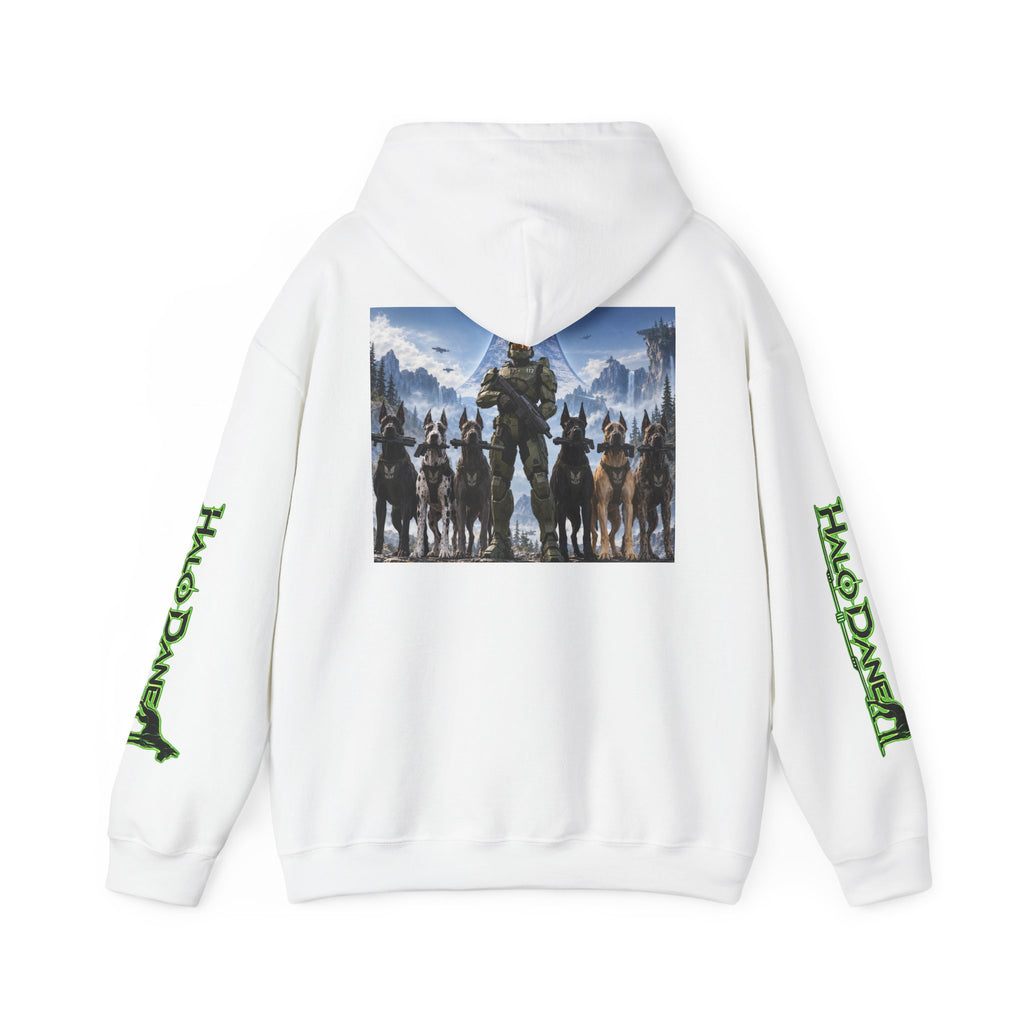 Halo Infinite Master Chief Hoodie — Video Game Dane Squad Pullover